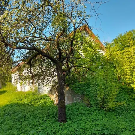 Gospodarstwo Agro-turystyczne Kuty *